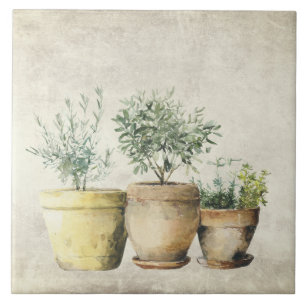 Carreau Herbes en Pots Méditerranéen Rustique