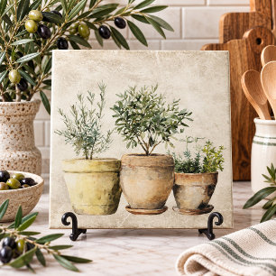 Carreau Herbes en Pots Méditerranéen Rustique