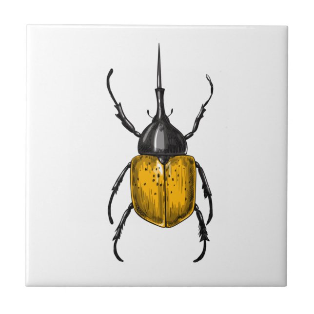 Carreau Hercules beetle (Devant)
