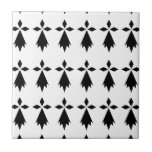 Carreau hermine drapeau Bretagne<br><div class="desc">Le logo de l'hermine du drapeau breton authentique et culte ! De Nantes à Brest en passant par Guérande, Rennes, Saint-Malo,  Saint-Nazaire ou Quiberon dans le Morbihan vous le trouverez partout !</div>