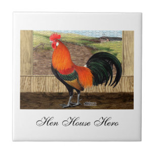 Carreau Héros de Chambre de poule