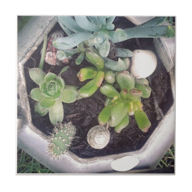 Carreau Heure du thé ? Une bouilloire à thé plantée (Devant)