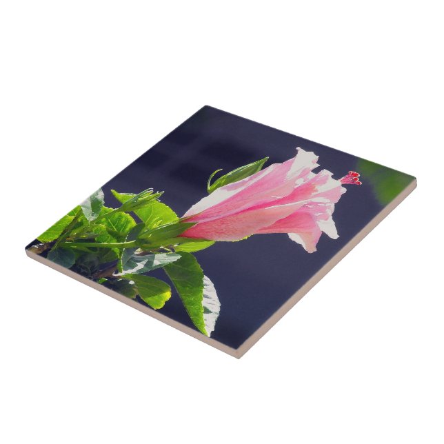Carreau Hibiscus au soleil clair (Côté)