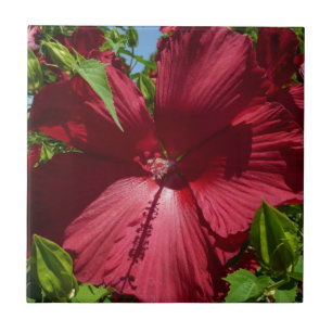 Carreau Hibiscus Flower and Blue Sky