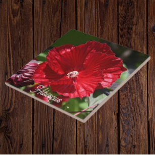Carreau Hibiscus rouge fleur de marais