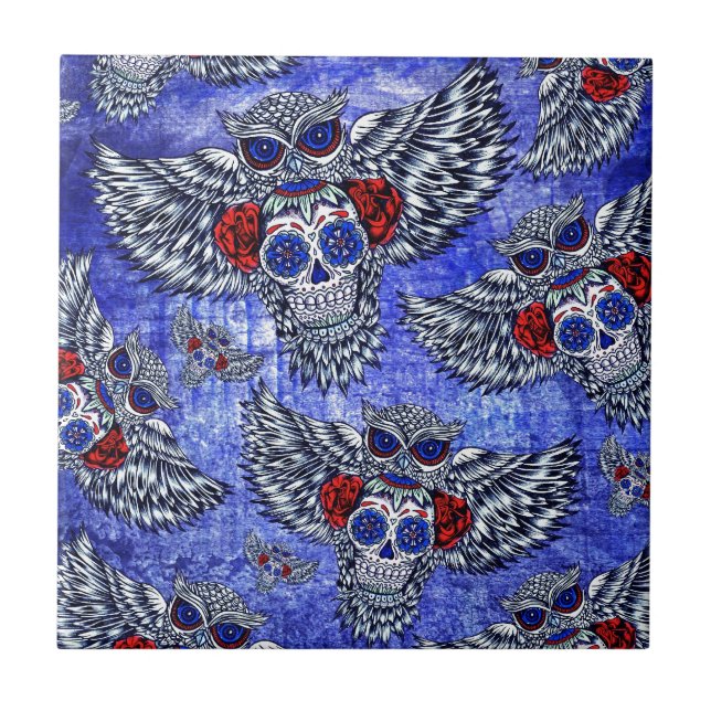 Carreau Hibou blanc et bleu rouge avec le motif de crâne (Devant)