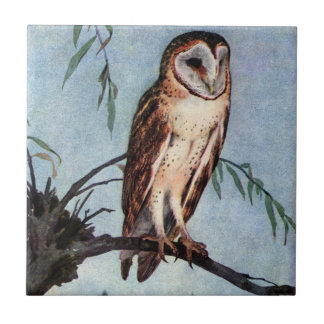 Carreau Hibou de grange se reposant sur une branche de