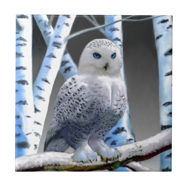 Carreau Hibou des neiges aux yeux bleus (Devant)