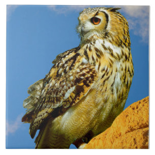 Carreau Hibou grand-duc