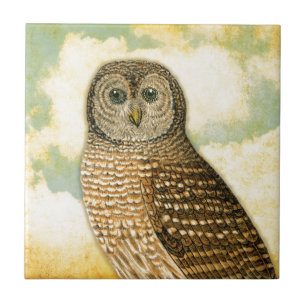 Carreau Hibou vintage avec des nuages