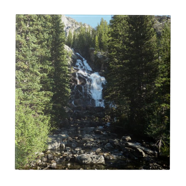 Carreau Hidden Falls dans le parc national de Grand Teton (Devant)