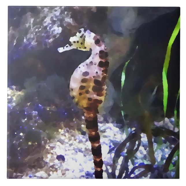 Carreau Hippocampe en aquarium (Devant)