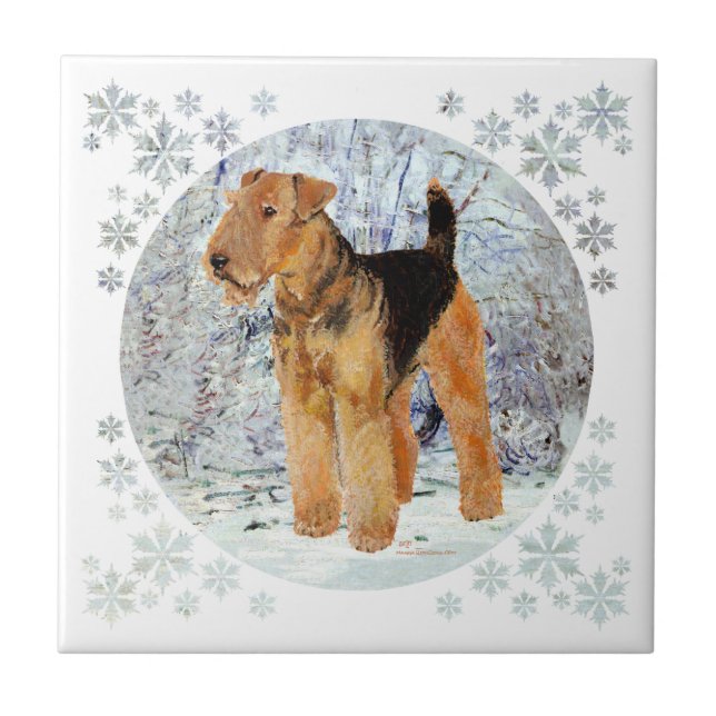 Carreau hiver (Devant)