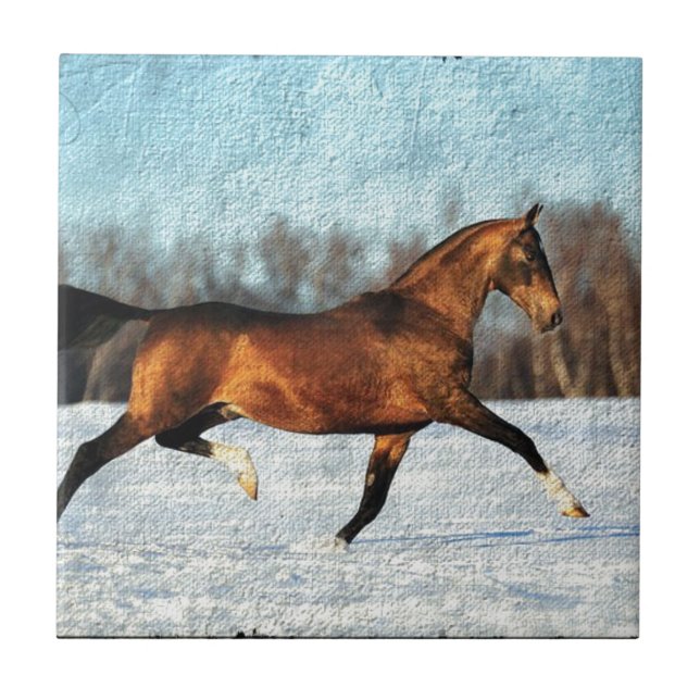 Carreau Hiver Akhal-teke (Devant)