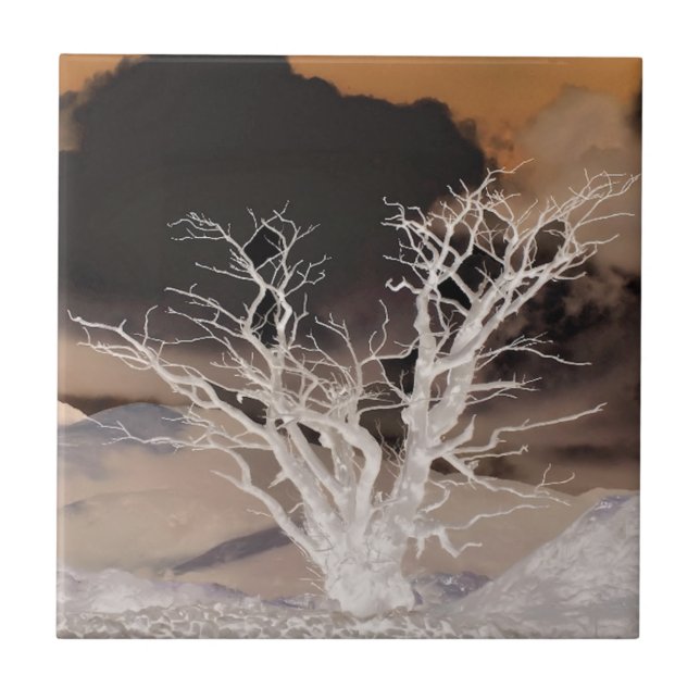 CARREAU HIVER DE LA MONTAGNE (Devant)