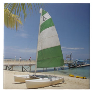 Carreau Hobie Cat, Plantation Island Resort