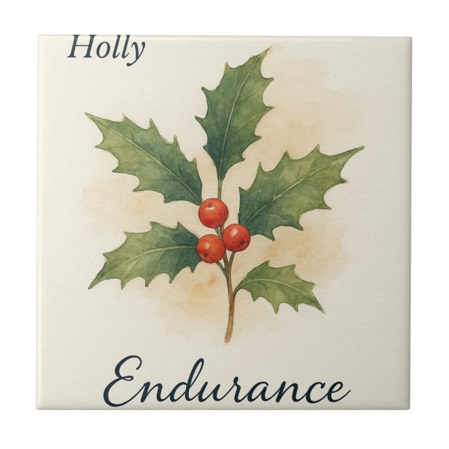 Carreau Holly — Endurance (Devant)