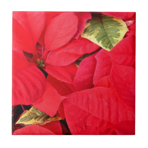 Carreau Holly Point Poinsettias vacances Floral