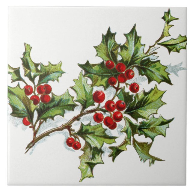Carreau HollyBerries20150801 (Devant)