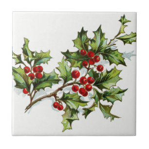 Carreau HollyBerries20150801