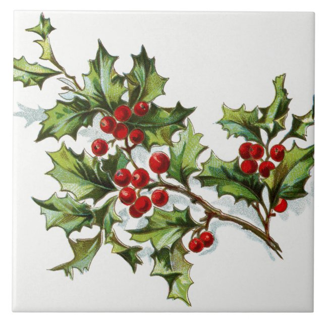 Carreau HollyBerries20150802 (Devant)