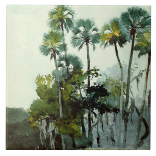 Carreau Homer - Homosassa River