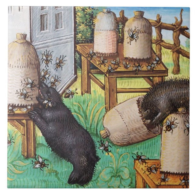 Carreau HONEY OURS DE VOLONTÉ, ABEILLES, BEE HAUTES Apiari (Devant)