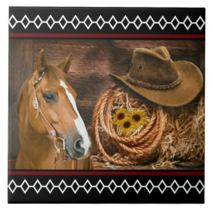 Carreau Horse cowboy Hat Lasso Western