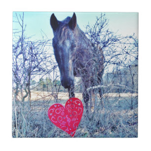 Carreau Horse et heart