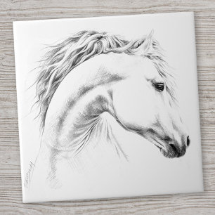 Carreau Horse portrait drawing equestrian art