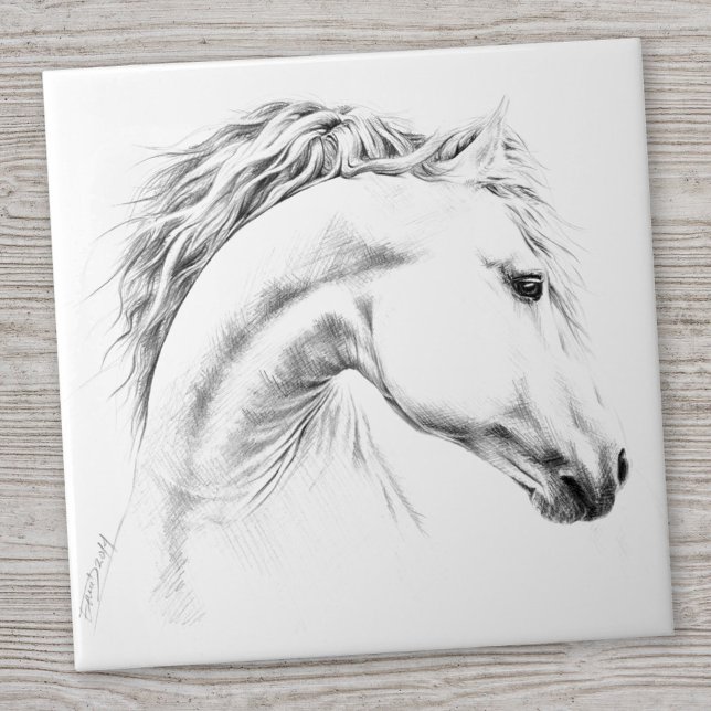 Carreau Horse portrait drawing equestrian art (Créateur téléchargé)