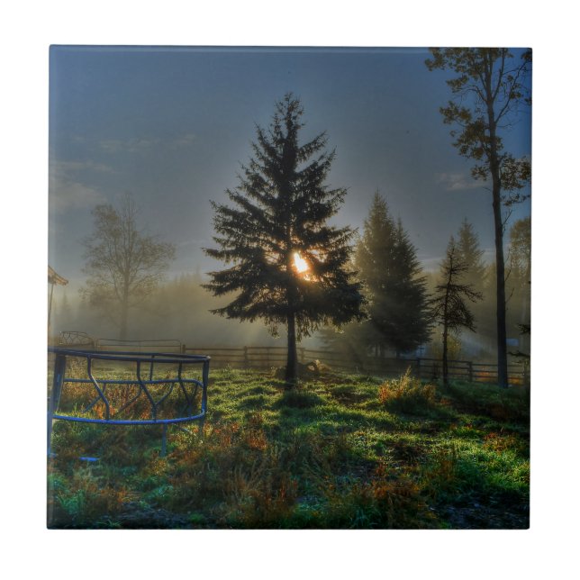 Carreau Horse Ranch Sunrise Nature Photo (Devant)