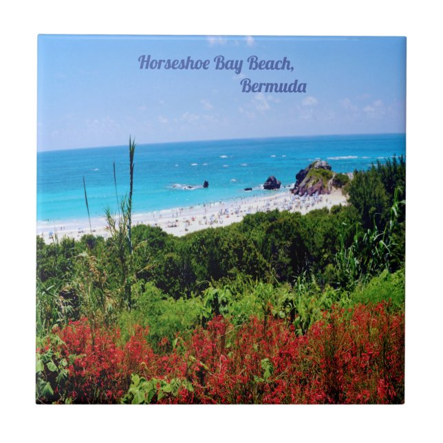 Carreau Horseshoe, Bay Beach, Bermudes (Devant)