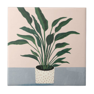 Carreau Houseplant