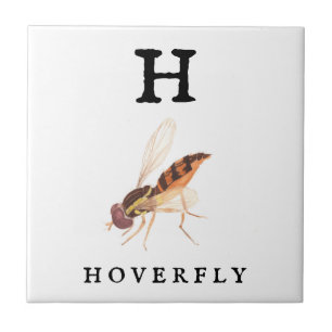 Carreau Hoverfly
