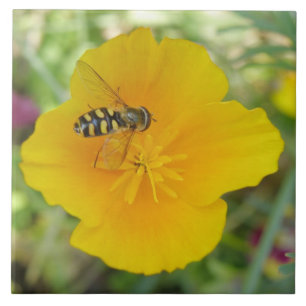 Carreau Hoverfly et California Poppy Tile