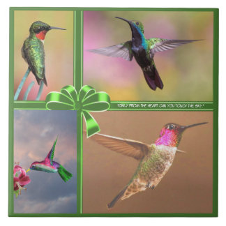 CARREAU HUMMINGBIRD COLLAGE, CITE
