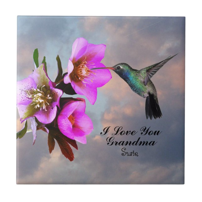 CARREAU HUMMINGBIRD-GRANDMA (Devant)