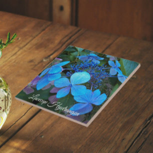 Carreau Hydrangea à chapeau de dentelle bleu floral