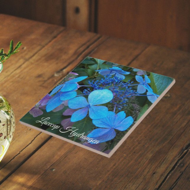 Carreau Hydrangea à chapeau de dentelle bleu floral (In Situ)