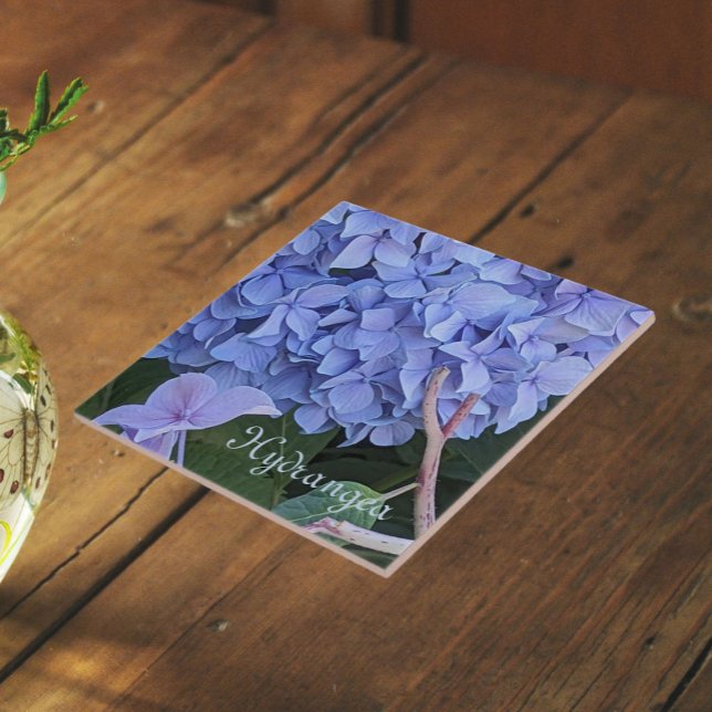 Carreau Hydrangea à Tête Bleue Fleur Florale (In Situ)