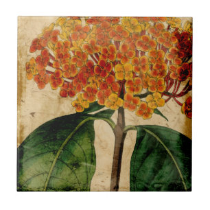 Carreau I floral vibrant