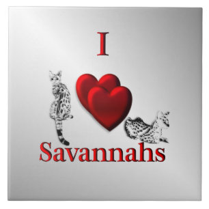 Carreau I Heart Savannah Chat Argent