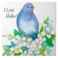 I Love Idaho Bluebird Syringa Fleur sauvage
