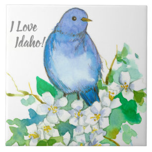 Carreau I Love Idaho Bluebird Syringa Fleur sauvage