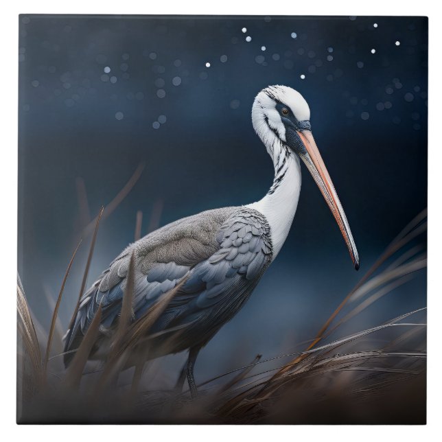 Carreau Ibis à minuit (Devant)