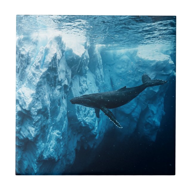 Carreau Iceberg sous-marin et une baleine à bosse (Devant)