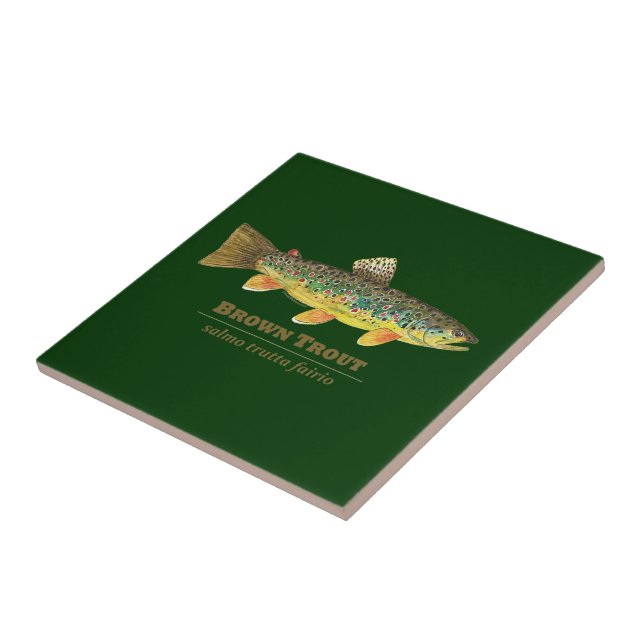 Carreau Ichthyologie latine de la truite Brown (Côté)