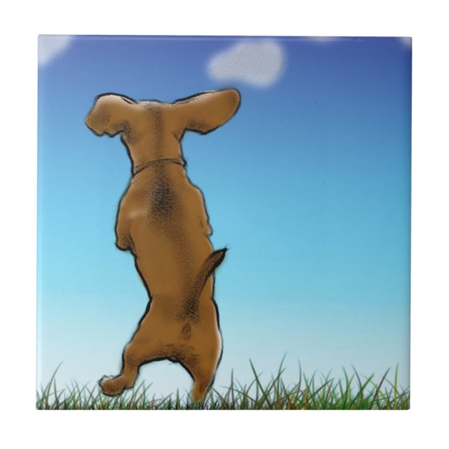 Carreau Ignorer Doxie (Devant)