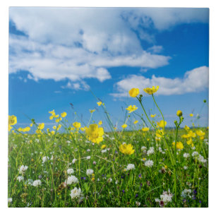 Carreau île de South Uist   Écosse